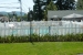 Pool surrounded by white picket fence